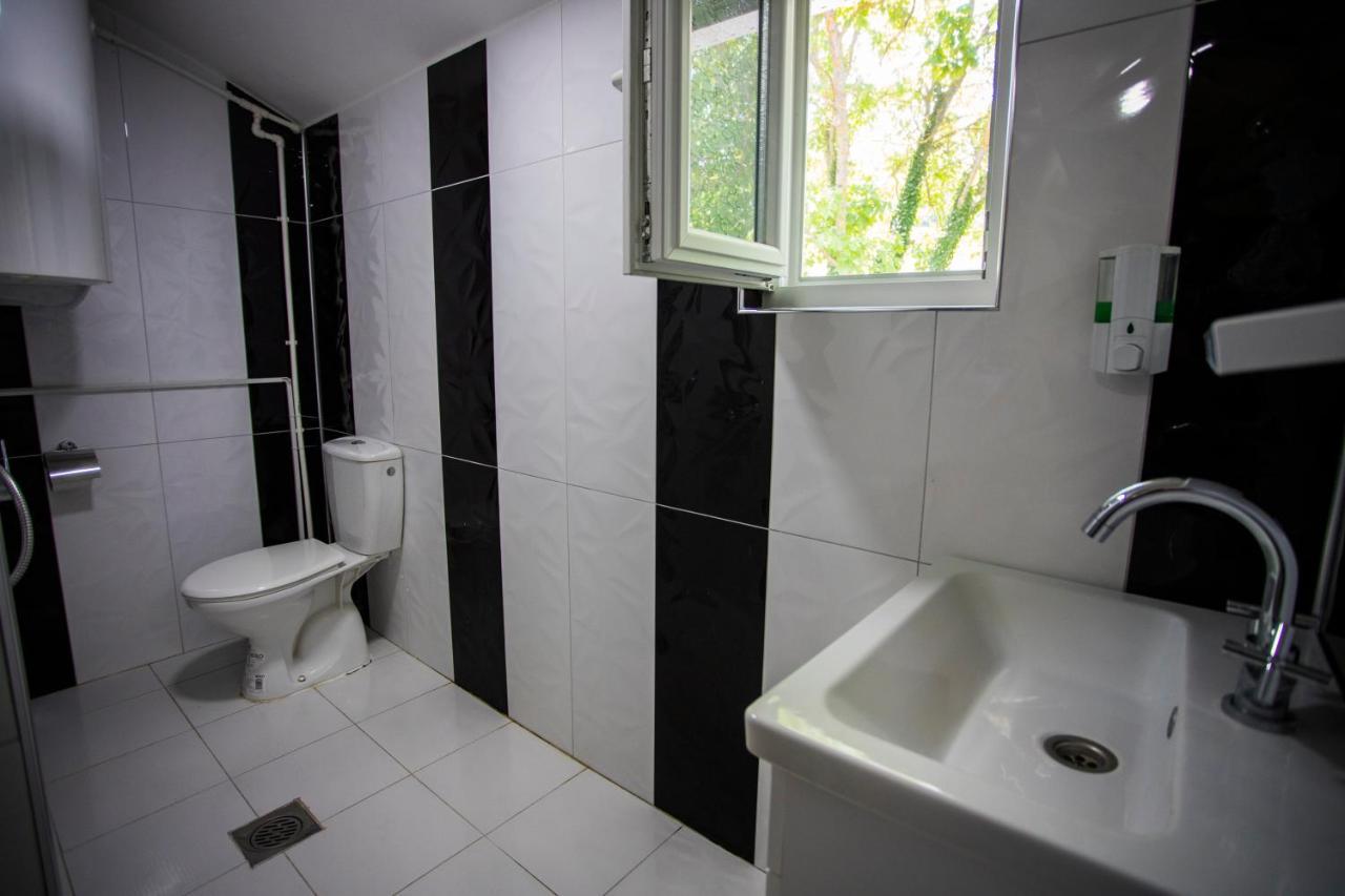 Apartment Ruma Dabnishte